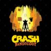 37391033 1 5 - Crash Bandicoot Shop