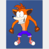 52628035 0 - Crash Bandicoot Shop