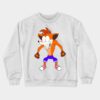 52628035 0 4 - Crash Bandicoot Shop