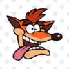 7937073 0 12 - Crash Bandicoot Shop