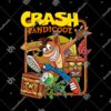 black crash 178afdf4 2f0f 4999 918d 552a4ff421e1 - Crash Bandicoot Shop